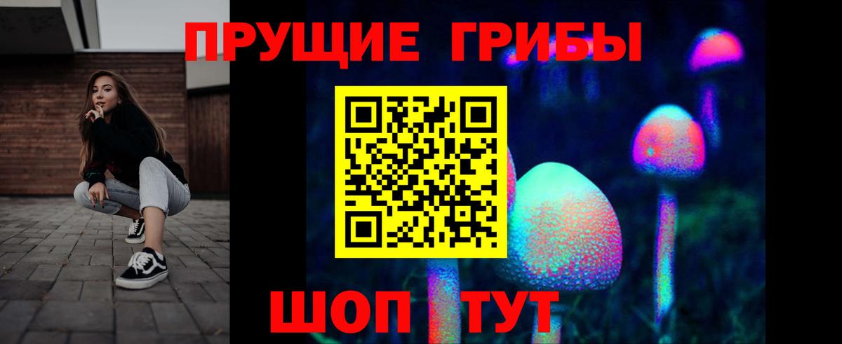 Галлюциногенные грибы Psilocybe Глазов